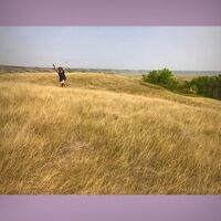 Dancing Across the Fields